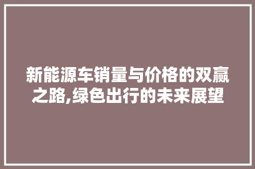 新能源车销量与价格的双赢之路,绿色出行的未来展望