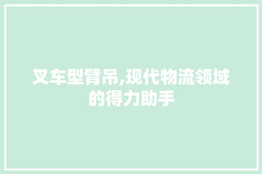 叉车型臂吊,现代物流领域的得力助手