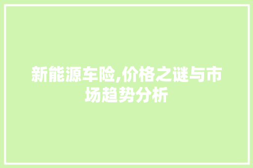 新能源车险,价格之谜与市场趋势分析