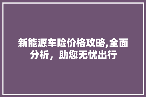 新能源车险价格攻略,全面分析，助您无忧出行