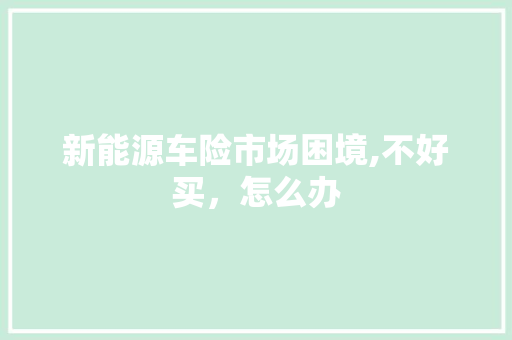 新能源车险市场困境,不好买，怎么办