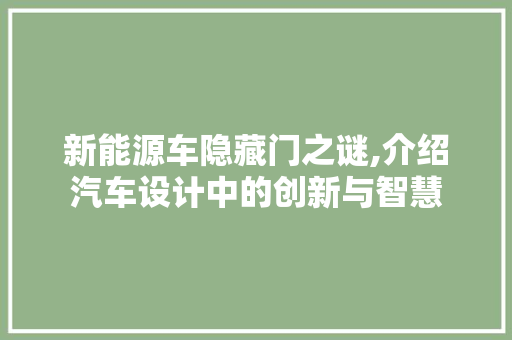 新能源车隐藏门之谜,介绍汽车设计中的创新与智慧