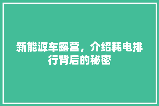 新能源车露营，介绍耗电排行背后的秘密