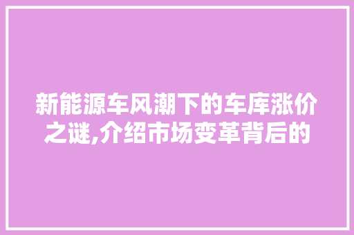 新能源车风潮下的车库涨价之谜,介绍市场变革背后的动因