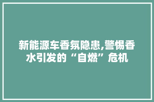 新能源车香氛隐患,警惕香水引发的“自燃”危机