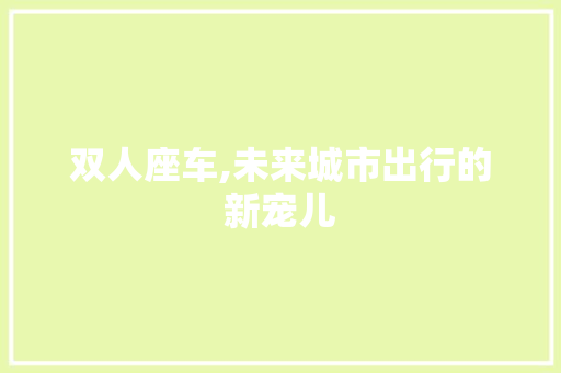 双人座车,未来城市出行的新宠儿