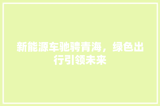 新能源车驰骋青海，绿色出行引领未来