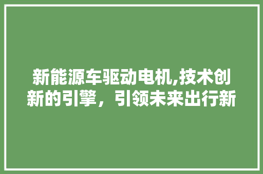 新能源车驱动电机,技术创新的引擎，引领未来出行新风尚