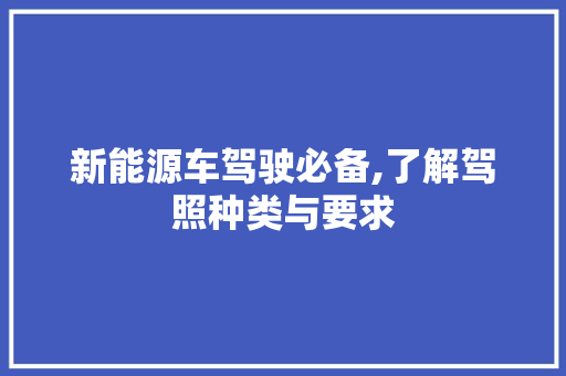 新能源车驾驶必备,了解驾照种类与要求