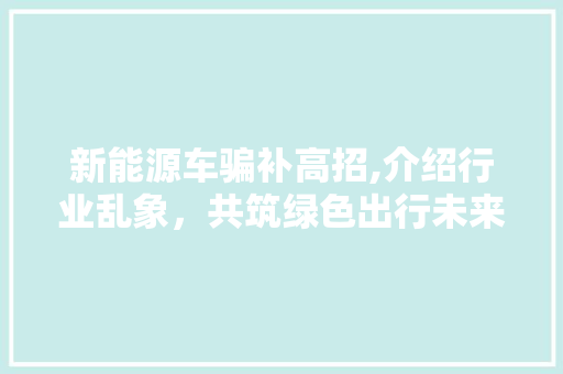 新能源车骗补高招,介绍行业乱象，共筑绿色出行未来