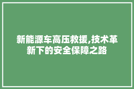 新能源车高压救援,技术革新下的安全保障之路