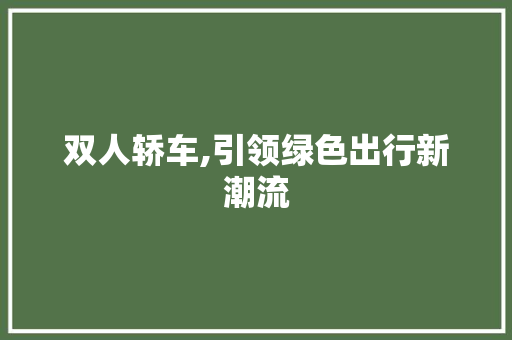 双人轿车,引领绿色出行新潮流