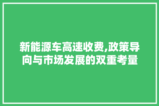 新能源车高速收费,政策导向与市场发展的双重考量