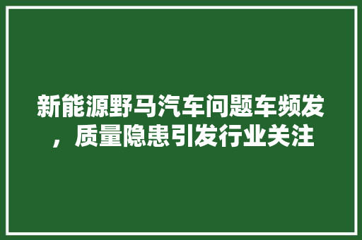 新能源野马汽车问题车频发，质量隐患引发行业关注