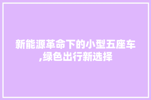 新能源革命下的小型五座车,绿色出行新选择