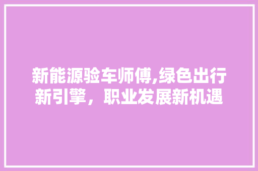 新能源验车师傅,绿色出行新引擎，职业发展新机遇