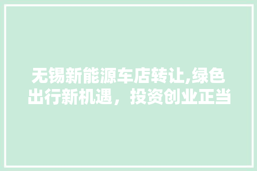 无锡新能源车店转让,绿色出行新机遇，投资创业正当时