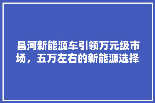 昌河新能源车引领万元级市场，五万左右的新能源选择！