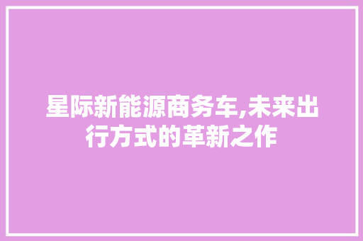 星际新能源商务车,未来出行方式的革新之作