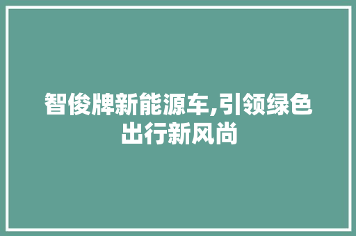 智俊牌新能源车,引领绿色出行新风尚