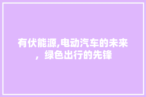 有伏能源,电动汽车的未来，绿色出行的先锋