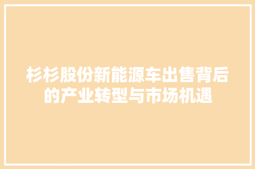 杉杉股份新能源车出售背后的产业转型与市场机遇