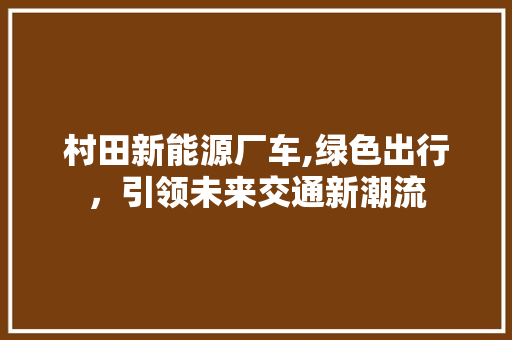 村田新能源厂车,绿色出行，引领未来交通新潮流