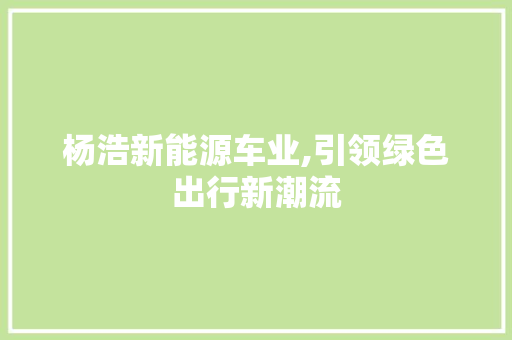 杨浩新能源车业,引领绿色出行新潮流