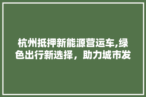 杭州抵押新能源营运车,绿色出行新选择，助力城市发展