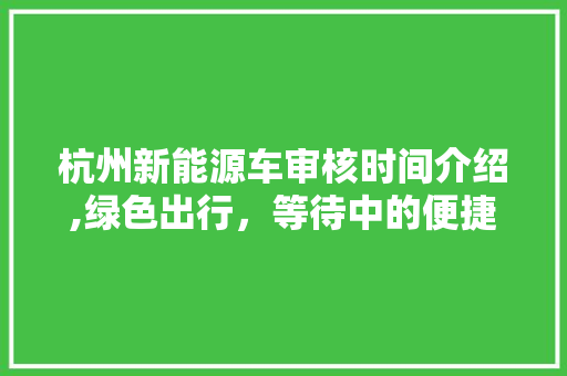 杭州新能源车审核时间介绍,绿色出行，等待中的便捷与挑战