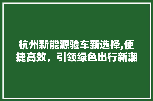 杭州新能源验车新选择,便捷高效，引领绿色出行新潮流