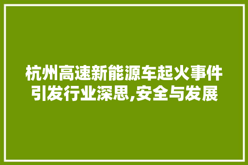杭州高速新能源车起火事件引发行业深思,安全与发展的平衡之路