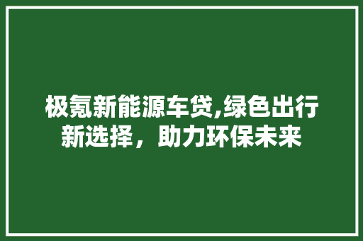 极氪新能源车贷,绿色出行新选择，助力环保未来
