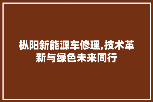 枞阳新能源车修理,技术革新与绿色未来同行