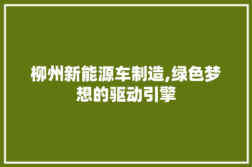 柳州新能源车制造,绿色梦想的驱动引擎