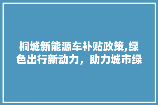 桐城新能源车补贴政策,绿色出行新动力，助力城市绿色发展