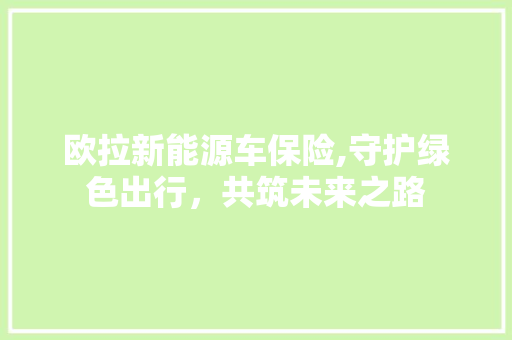 欧拉新能源车保险,守护绿色出行，共筑未来之路