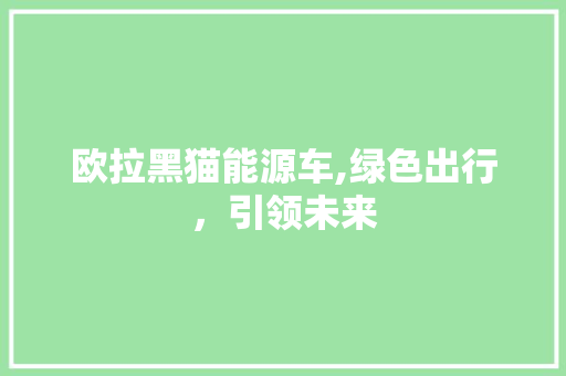 欧拉黑猫能源车,绿色出行，引领未来