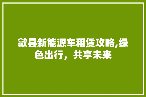 歙县新能源车租赁攻略,绿色出行，共享未来