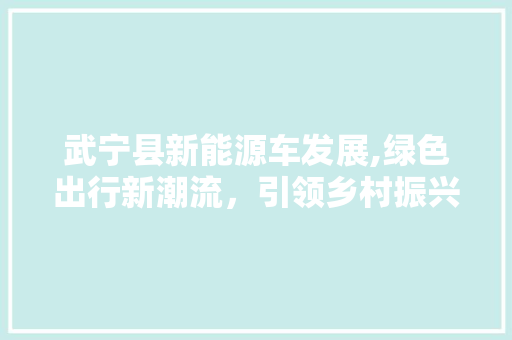 武宁县新能源车发展,绿色出行新潮流，引领乡村振兴新篇章