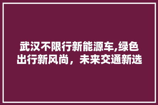 武汉不限行新能源车,绿色出行新风尚，未来交通新选择