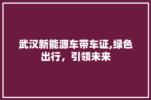 武汉新能源车带车证,绿色出行，引领未来