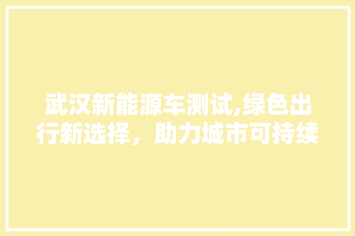 武汉新能源车测试,绿色出行新选择，助力城市可持续发展