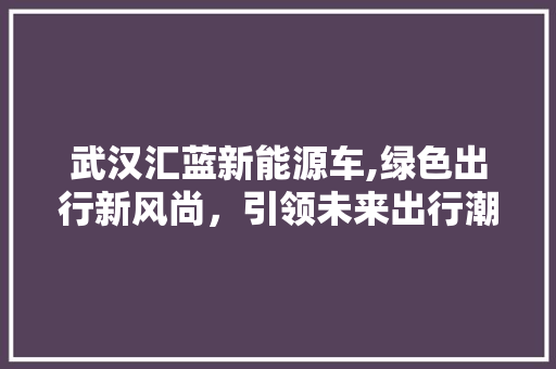 武汉汇蓝新能源车,绿色出行新风尚，引领未来出行潮流