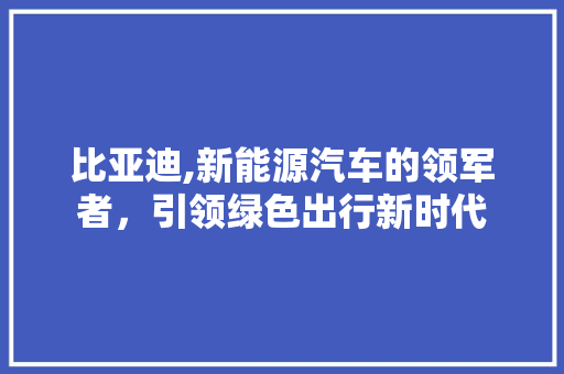 比亚迪,新能源汽车的领军者，引领绿色出行新时代