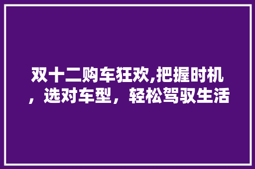双十二购车狂欢,把握时机，选对车型，轻松驾驭生活