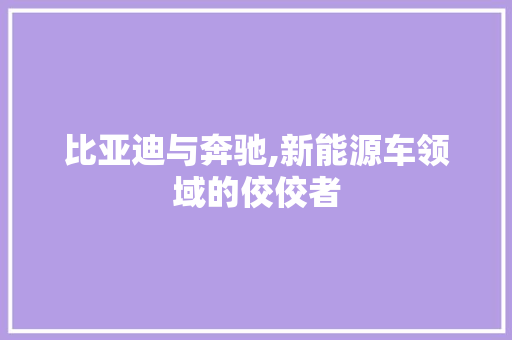 比亚迪与奔驰,新能源车领域的佼佼者