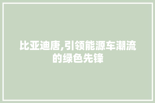 比亚迪唐,引领能源车潮流的绿色先锋