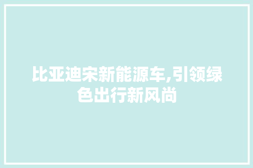 比亚迪宋新能源车,引领绿色出行新风尚