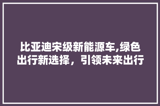 比亚迪宋级新能源车,绿色出行新选择，引领未来出行潮流